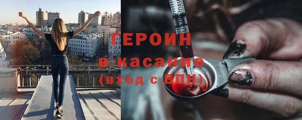 гидра Богородицк