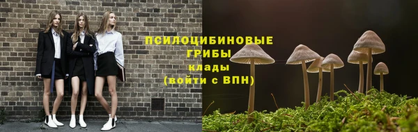 гидра Богородицк