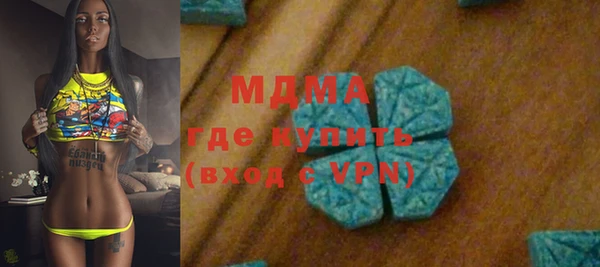 гидра Богородицк