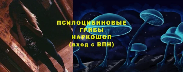 героин Богданович