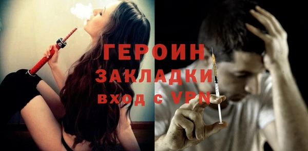 гидра Богородицк