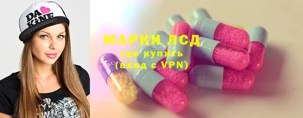 гидра Богородицк