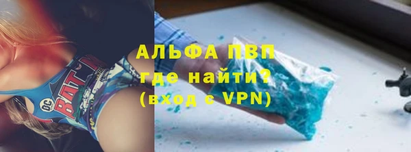гидра Богородицк