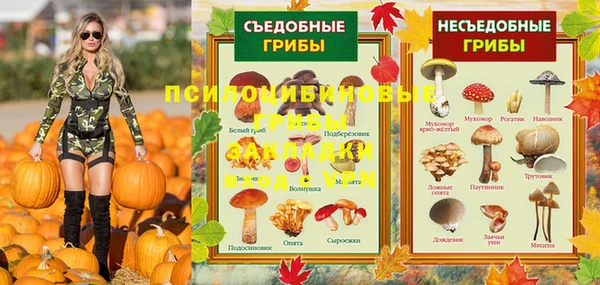первитин Богородск
