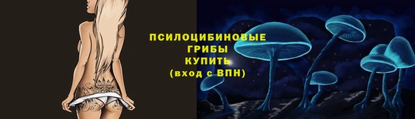 первитин Богородск