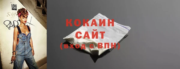 гидра Богородицк