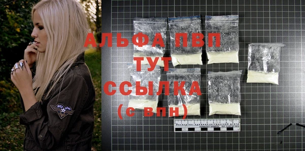 гидра Богородицк