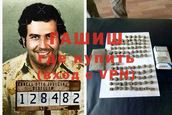 гидра Богородицк