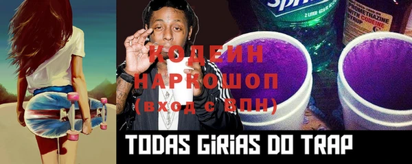 гидра Богородицк