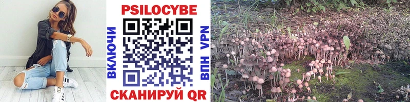 kraken как зайти  Петрозаводск  Галлюциногенные грибы Cubensis 
